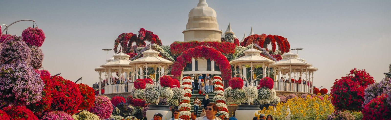 dubai garden 11