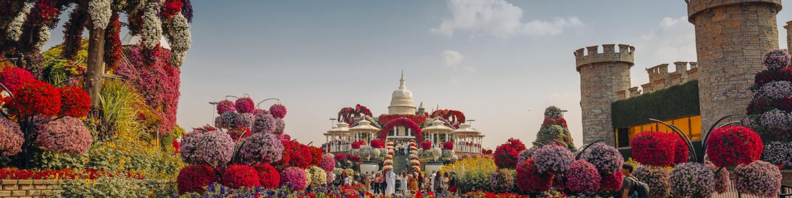 dubai garden 8